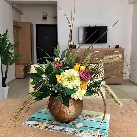 Apartament David ,mamaia Nord דירה